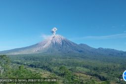 Semeru alami erupsi enam kali dengan tinggi letusan hingga 1,3 km