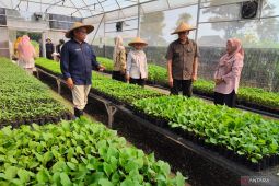 Pemkab Bogor salurkan 23 ribu bibit tanaman produktif untuk perkuat ketahanan pangan