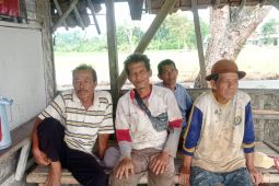 Pemkab Lebak dampingi petani lokal pasok sayuran untuk Program MBG