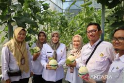 Pemkot Pekalongan bantu poktan alsintan tingkatkan produktivitas dari Kementerian Pertanian