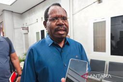 Pemkab Nabire manfaatkan insentif fiskal Rp3 miliar bina UMKM