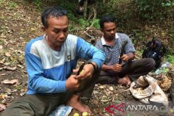 Pemkab Aceh Selatan ajak petani diversifikasi komoditas pertanian