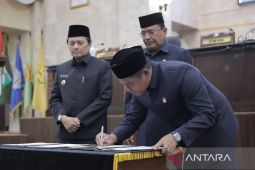 DPRD sepakat Raperda PPA Kalsel 2025 jadi Perda