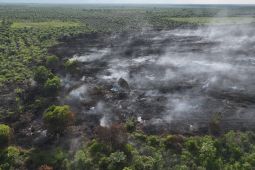 Manggala Agni temukan karhutla seluas 7 hektare di Rokan Hilir Riau