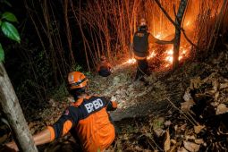 BPBD: Tim gabungan gerak cepat kendalikan karhutla di Lumajang