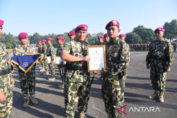 Marinir beripenghargaan prajurit berprestasi di Operasi Kasuari