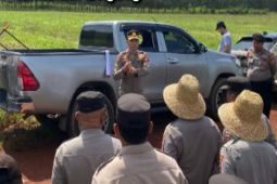 Polsek KPL Banjarmasin kawal produktivitas jagung perkuat ketahanan pangan