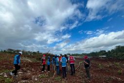 PLN komitmen dukung keandalan listrik Ground Breaking Blok Masela wujudkan pembangunan Kepulauan Tanimbar