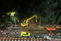 Pemkab Bogor angkut 60 truk sampah yang sumbat aliran Kali Baru