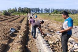 Rehabilitasi sawah rusak dan optimalisasi lahan di Bireuen selesai