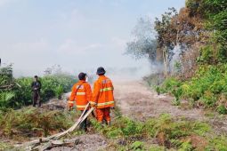 Kebakaran lahan di Bajubang Kabupaten Batang Hari