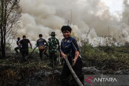 Indonesia pushes structural reform to prevent forest fires