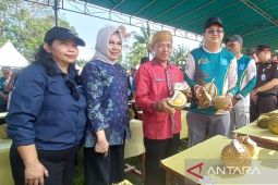 Festival Durian Pelangas Perkuat Daya Tarik Wisata Bangka Barat