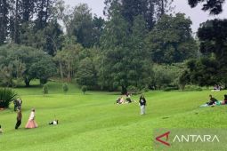 Kebun Raya Cibodas catat tingkat kunjungan naik 30 persen periode libur sekolah