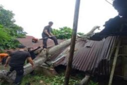 Pusdalops catat lima rumah  rusak akibat cuaca ekstrem melanda Binjai