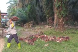 Meniti jalan Hoegeng di tanah Bungo, kisah Aipda Arjunif merajut damai
