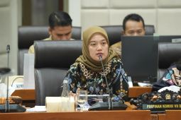 Komisi VII DPR minta pembinaan UMKM diperkuat agar dipercaya perbankan