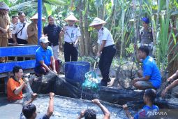 Lapas Kuala Tungkal hadirkan pembinaan produktif sektor pangan