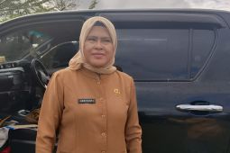 DPKPP Mimika  perluas TPU SP I