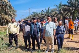 PemkabBengkayang kawal pemenuhan hak petani plasma Desa Karimunting