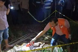 Polisi Karawang selidiki peyebab kematian pria di sawah