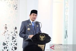 Bupati Tanah Bumbu: ASN harus bijak dalam bersosmed