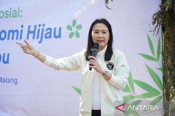 Wamen PPPA: Perempuan perlu diberi akses kelola perhutanan sosial