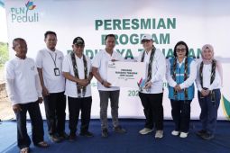 PLN bantu pengembangan budidaya jahe gajah untuk petani di Mempawah