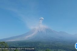 Semeru erupsi, tinggi letusan hingga 1,3 km di atas puncak
