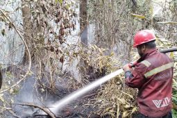 Balai Dalkarhut: Karhutla di Aceh Selatan mulai sisakan asap tipis