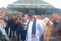Mentan: Permainan harga sawit ditindak tegas saat harga TBS menguat