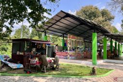 UMKM di Batang Hari alami kenaikan delapan persen tahun ini