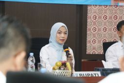 Realisasi PAD Kabupaten Serang Triwulan II surpuls Rp5 miliar