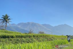 BBKSDA Jabar pastikan kebakaran di Gunung Guntur Garut tidak meluas