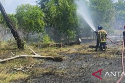 Damkar Bangka berhasil padamkan kebakaran lahan seluas 5 hektare