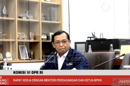 Legislator: Kemendag perlu perkuat pengamanan pasar dalam negeri