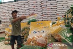 Pemkab Kutim perkuat kemandirian pangan berbasis keluarga hadapi kemarau