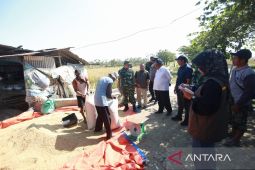 Bulog serap 158 ribu ton beras hasil panen dari petani Indramayu