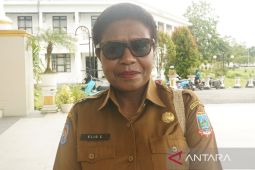 Pemerintah Mimika bangun sanggar kembangkan seni dan budaya