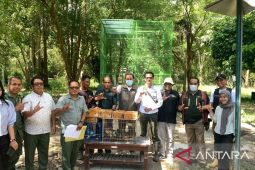 Tim gabungan di Bali gagalkan penyelundupan 124 ekor burung tanpa dokumen