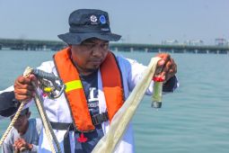 TTL dan BRIN petakan biota laut demi pelestarian ekosistem pesisir