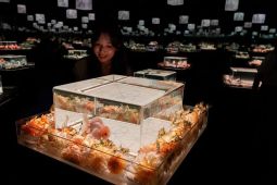Seoul tidak terima permintaan AS kirim pasukan ke Selat Hormuz