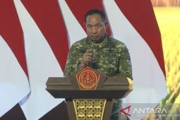 Panglima sebut TNI berhasil penuhi 55 persen produksi beras nasional