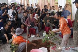 AA Kadu terapkan standar pembibitan jaga kemurnian durian unggul