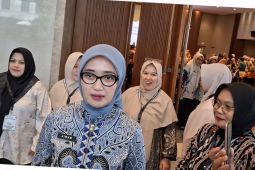 Wagub Lampung sebut hilirisasi singkong dongkrak kesejahteraan petani