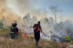 Tim Gabungan Polda Babel-Damkar padamkan karhutla seluas 4-5 hektare di Pangkalpinang
