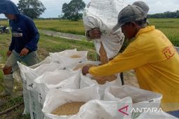 Koperasi Desa Merah Putih di Penajam diarahkan buka SPBU khusus petani