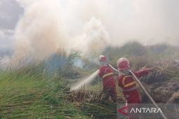 Kemenhut lakukan 107 operasi pemadaman karhutla di Kalsel