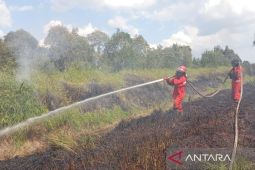 Kemenhut sebut luas karhutla nasional capai 107.465,47 hektare