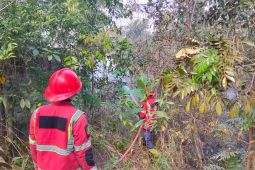 BPDB Belitung berhasil padamkan 3 kejadian karhutla seluas 8 hektare